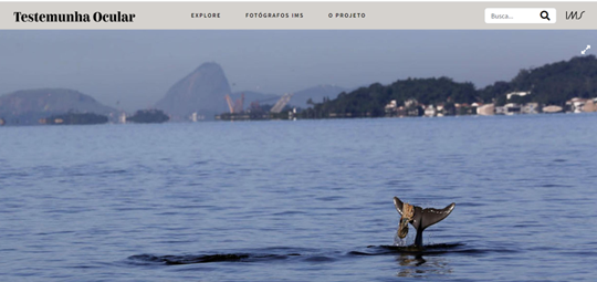 A Baía de Guanabara  localizada no estado do Rio de Janeiro